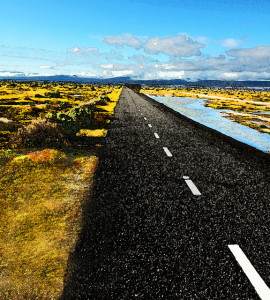 Path. Photo by Rennett Stowe. 